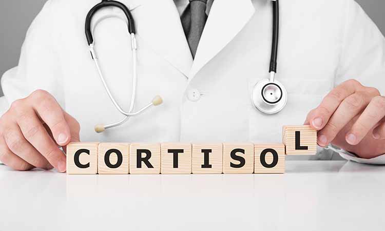 imagem de um médico com jaleco branco segurando quadradinhos com letras em preto escrito "cortisol"