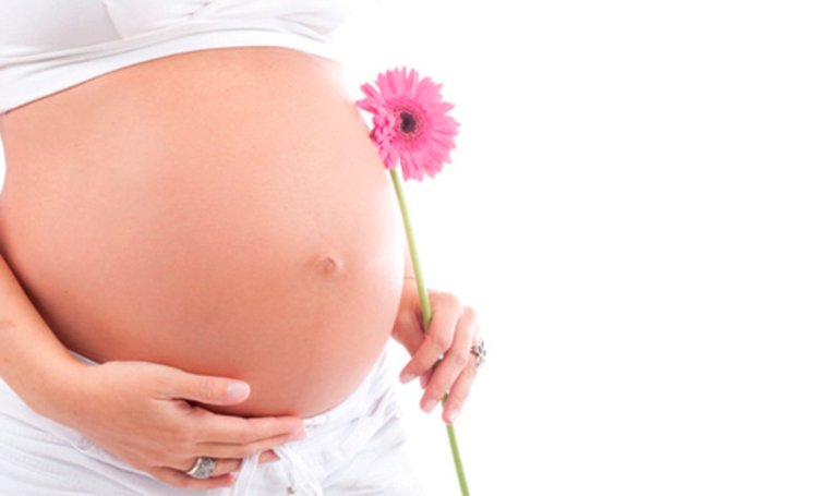 Imagem de uma barriga gravida de uma mulher, ela está com a mão na barriga e a outra segurando uma flor rosa