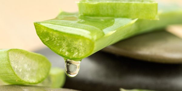 Imagem de um planta verde cortada ao meio com um liquido saindo dela
