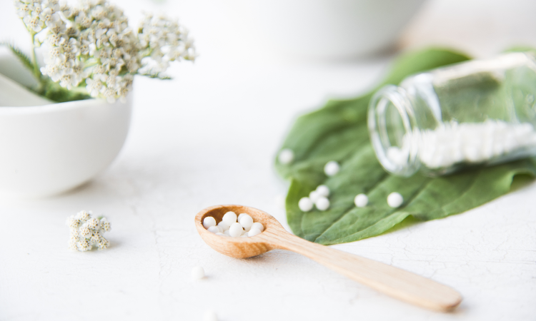 Folhas e plantas de homeopatia