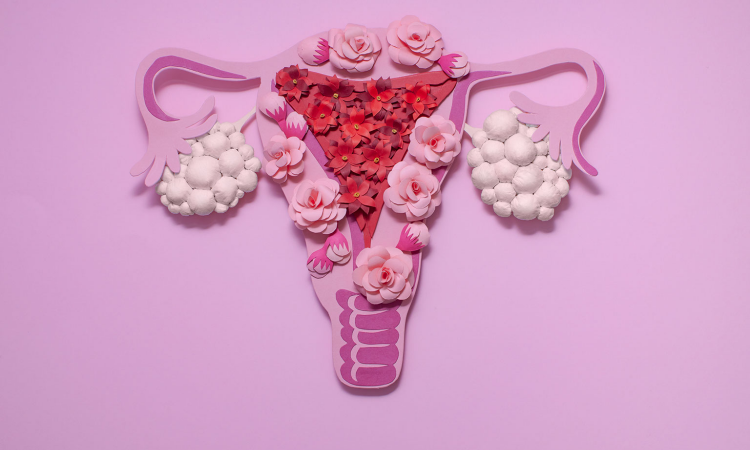 imagem de um ovario policistico feito com rosas e algodão